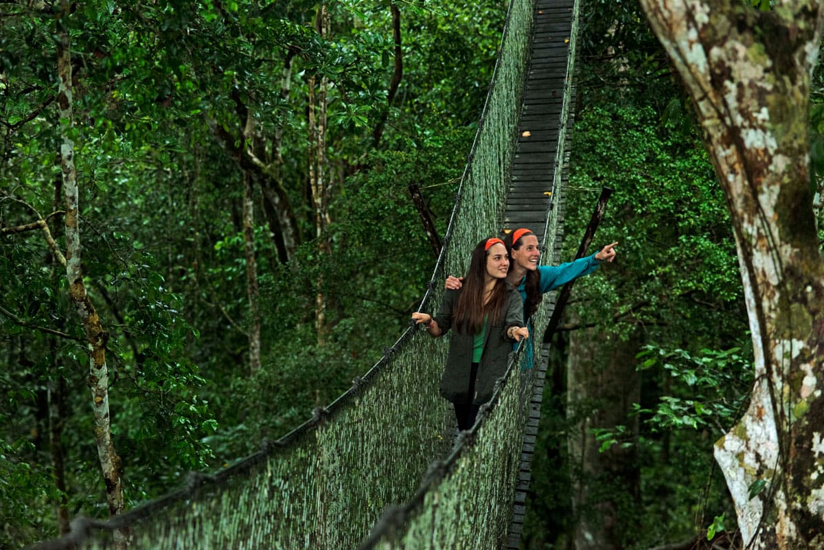 Rainforest Tropical Peru Amazon 4 day