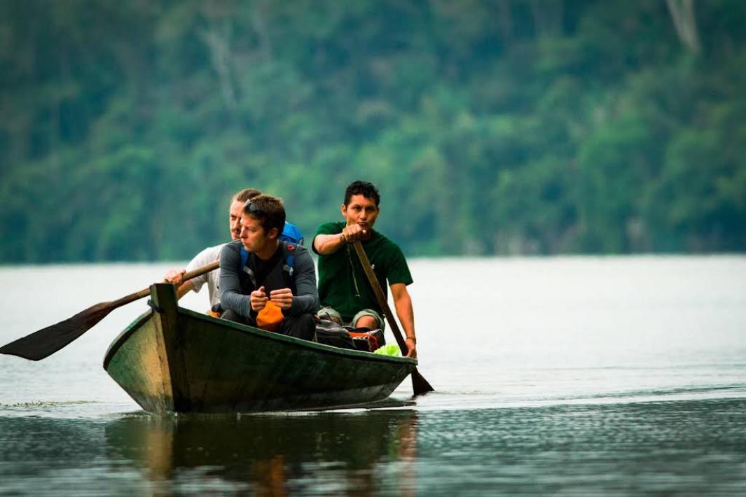 Wildlife Photography Amazonia Rainforest   4 days