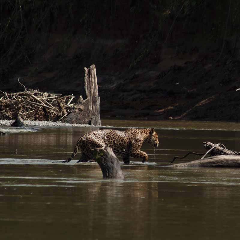 Viajes y Tours Amazonas 5 dias