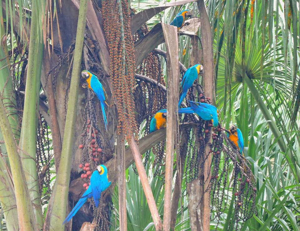 3 day Rainforest  Expeditions Tours